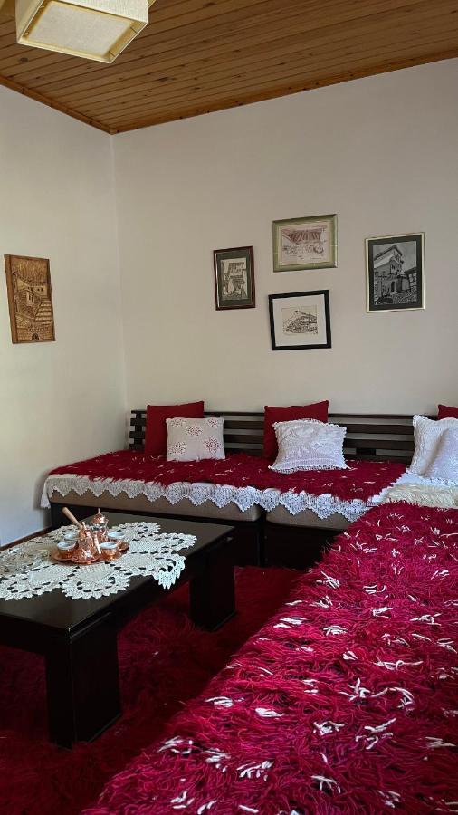 Ana Rest House Hostel ベラト エクステリア 写真